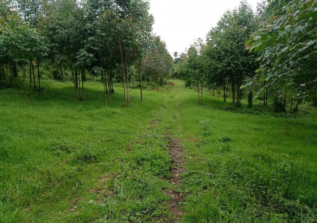 25-Acre Land with River Frontage
