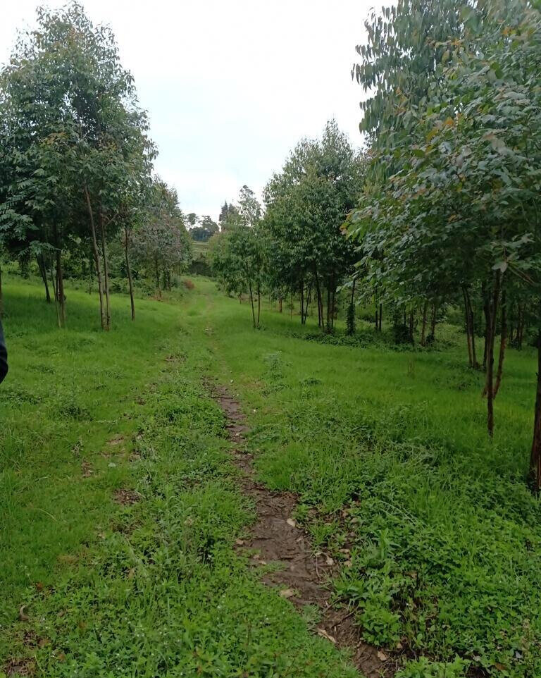 25-Acre Land with River Frontage