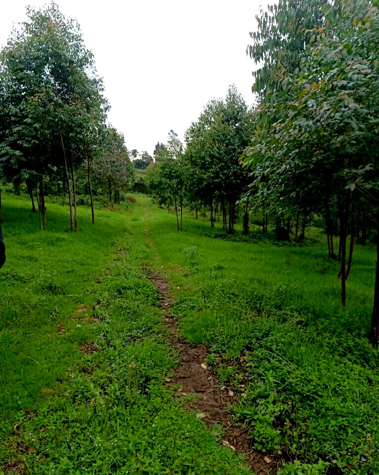 25-Acre Land with River Frontage