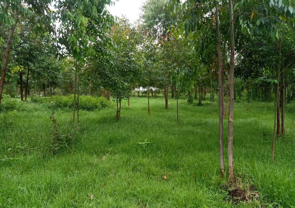 25-Acre Land with River Frontage