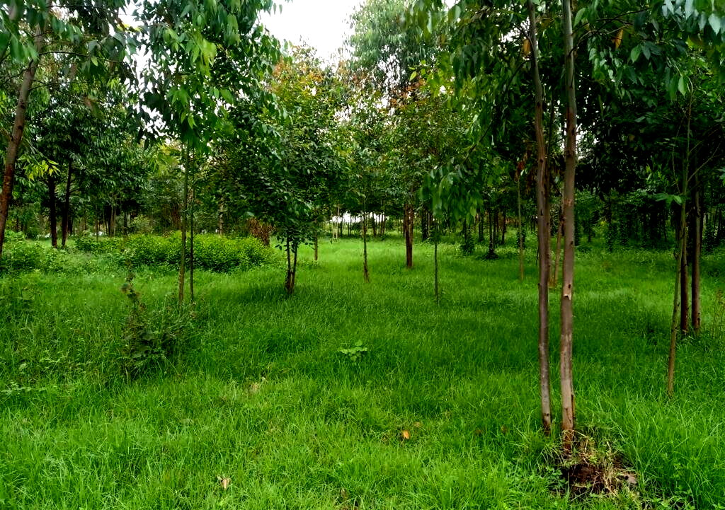25-Acre Land with River Frontage
