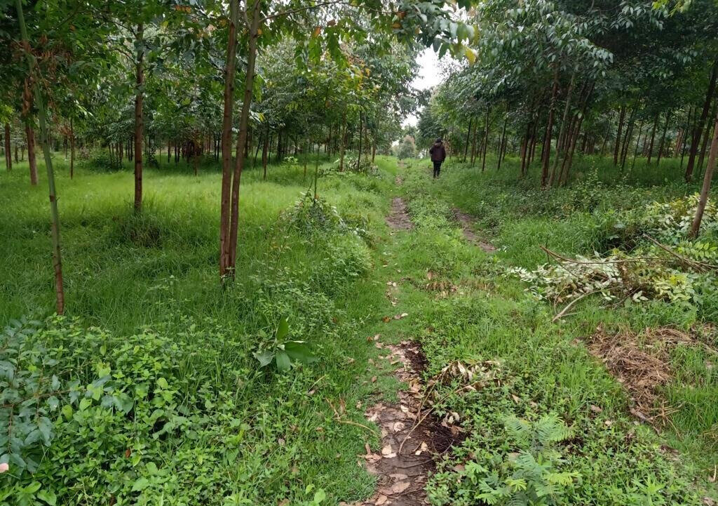 25-Acre Land with River Frontage
