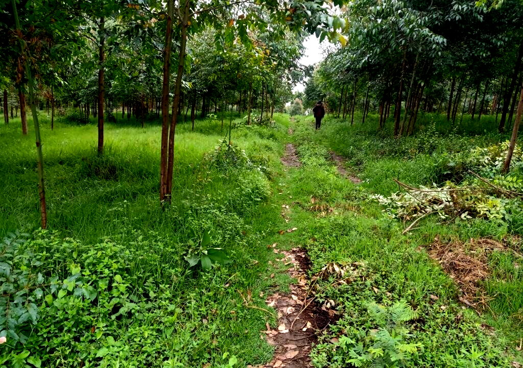 25-Acre Land with River Frontage