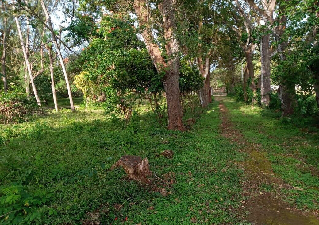 Kikambala Beach Plot for KSh 5.8M
