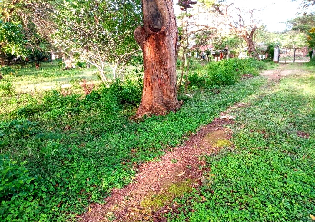 Kikambala Beach Plot for KSh 5.8M