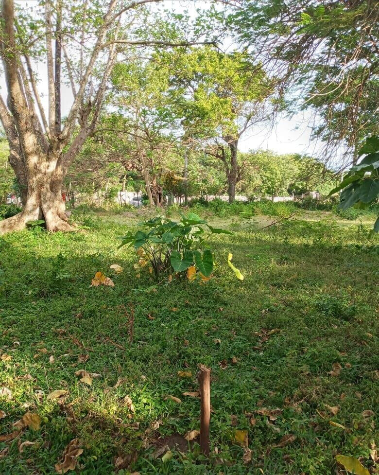 Kikambala Beach Plot for KSh 5.8M