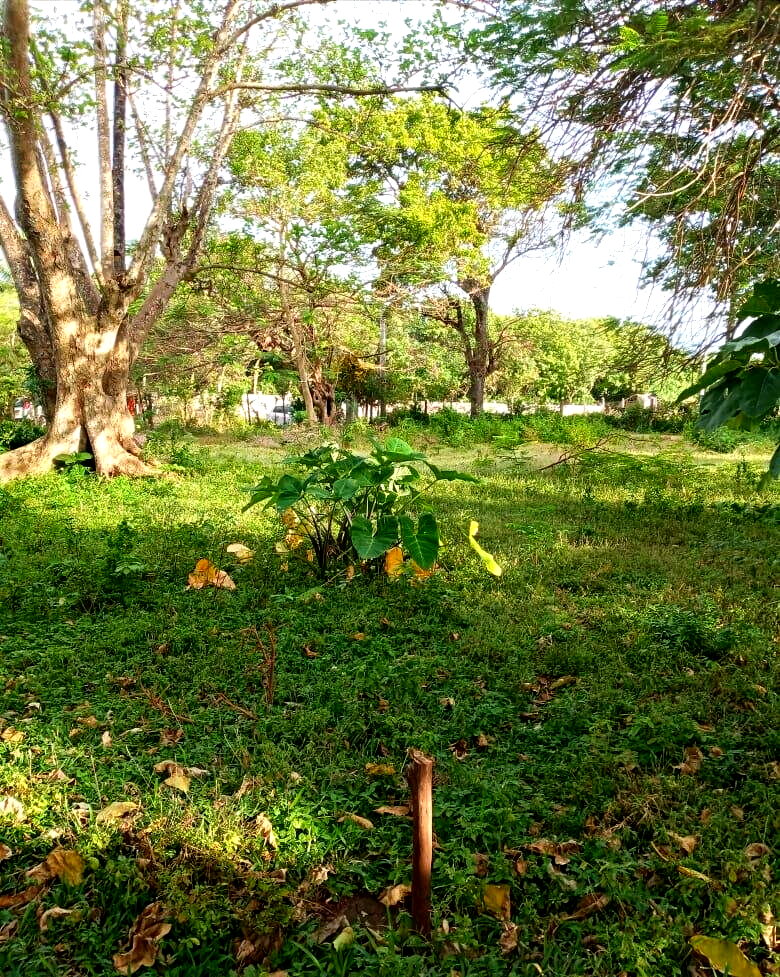 Kikambala Beach Plot for KSh 5.8M