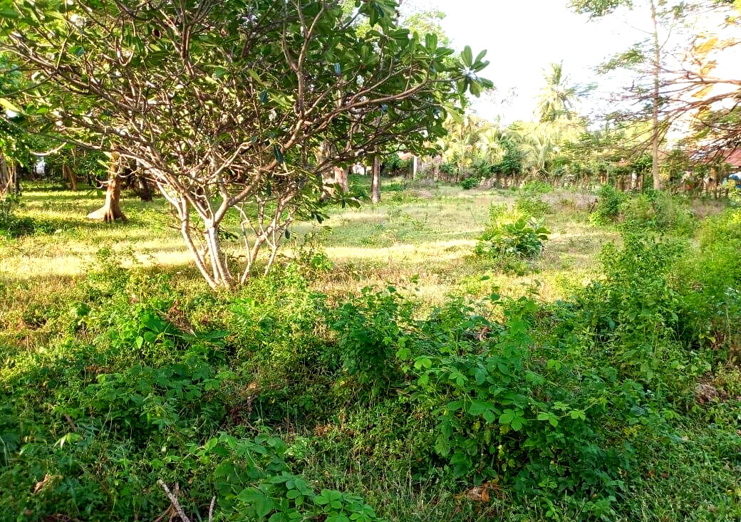 Kikambala Beach Plot for KSh 5.8M