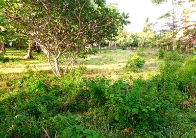 Kikambala Beach Plot for KSh 5.8M