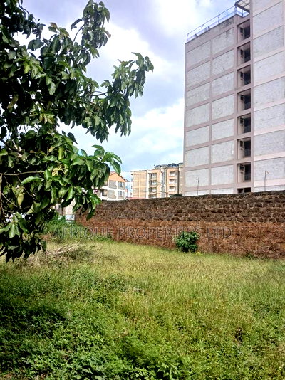 Plot for Sale 55x110 Ft Behind Plainview Hospital Ruiru - Image 8