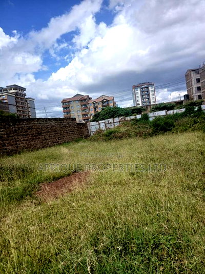 Plot for Sale 55x110 Ft Behind Plainview Hospital Ruiru - Image 3