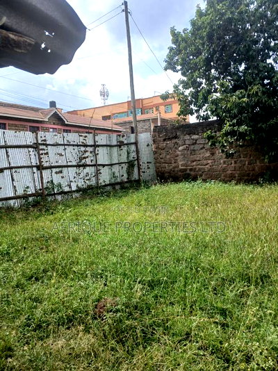 Plot for Sale 55x110 Ft Behind Plainview Hospital Ruiru - Image 4