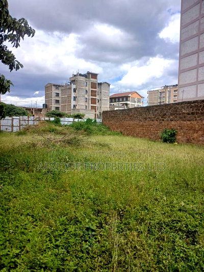 Plot for Sale 55x110 Ft Behind Plainview Hospital Ruiru - Image 2