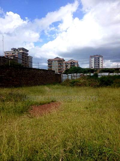 Plot for Sale 55x110 Ft Behind Plainview Hospital Ruiru - Image 6