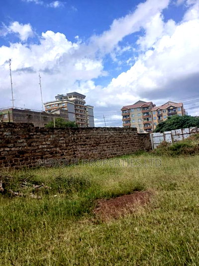 Plot for Sale 55x110 Ft Behind Plainview Hospital Ruiru - Image 5
