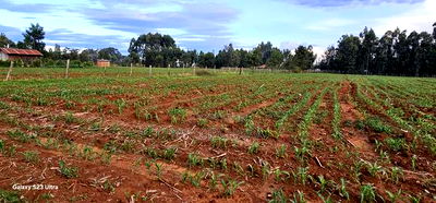 2 Acres for Sale in Say Eldoret - Image 7