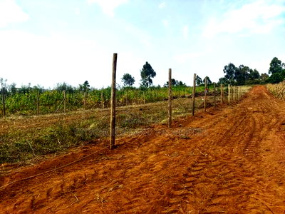 Build in Nachu! 50x100ft Plots - Water Power on-Site - Image 2