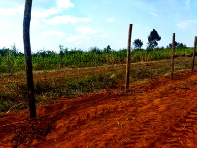 Build in Nachu! 50x100ft Plots - Water Power on-Site - Image 1