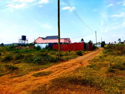 Build in Nachu! 50x100ft Plots - Water Power on-Site - Image 4