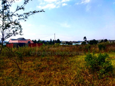 Build in Nachu! 50x100ft Plots - Water Power on-Site - Image 3