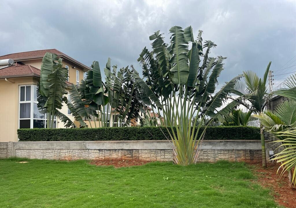 4BR Townhouse with Rooftop Terrace & Home Office - Runda