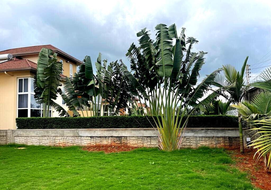 4BR Townhouse with Rooftop Terrace & Home Office - Runda