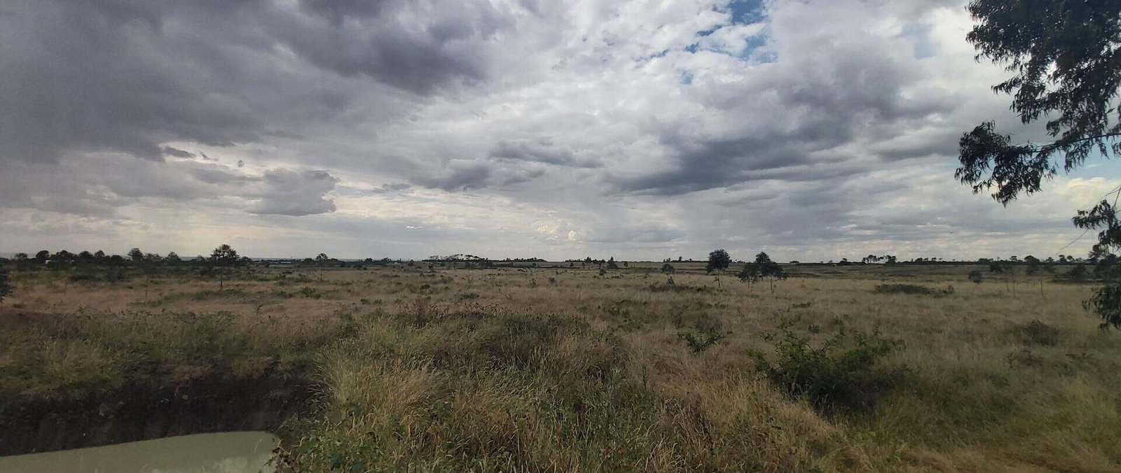 10-Acre Land with Mt Kenya Views - Nanyuki