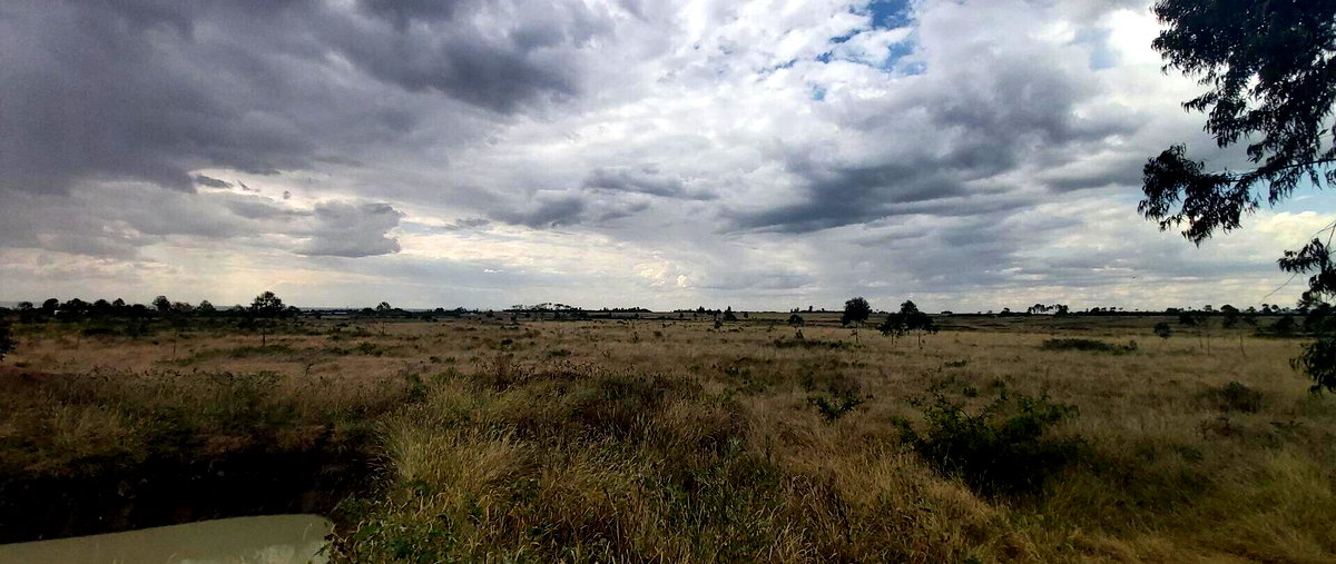 10-Acre Land with Mt Kenya Views - Nanyuki