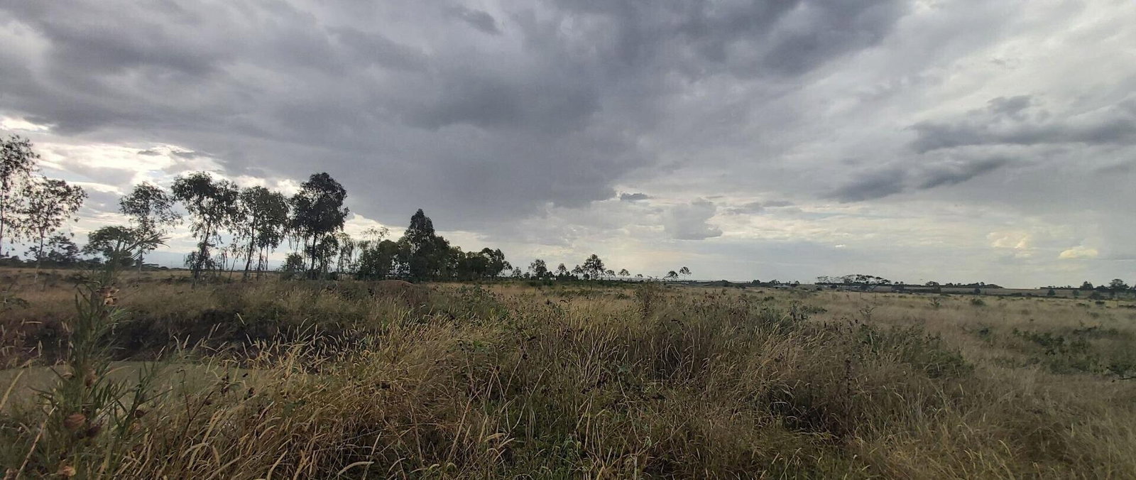 10-Acre Land with Mt Kenya Views - Nanyuki