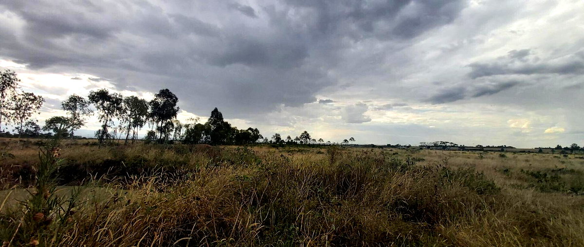 10-Acre Land with Mt Kenya Views - Nanyuki