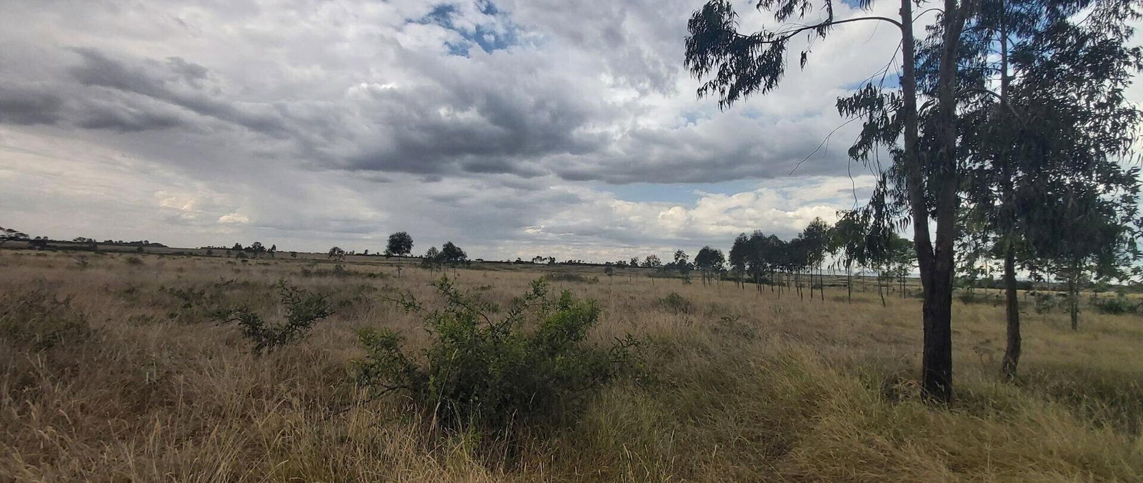 10-Acre Land with Mt Kenya Views - Nanyuki