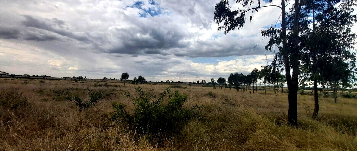 10-Acre Land with Mt Kenya Views - Nanyuki