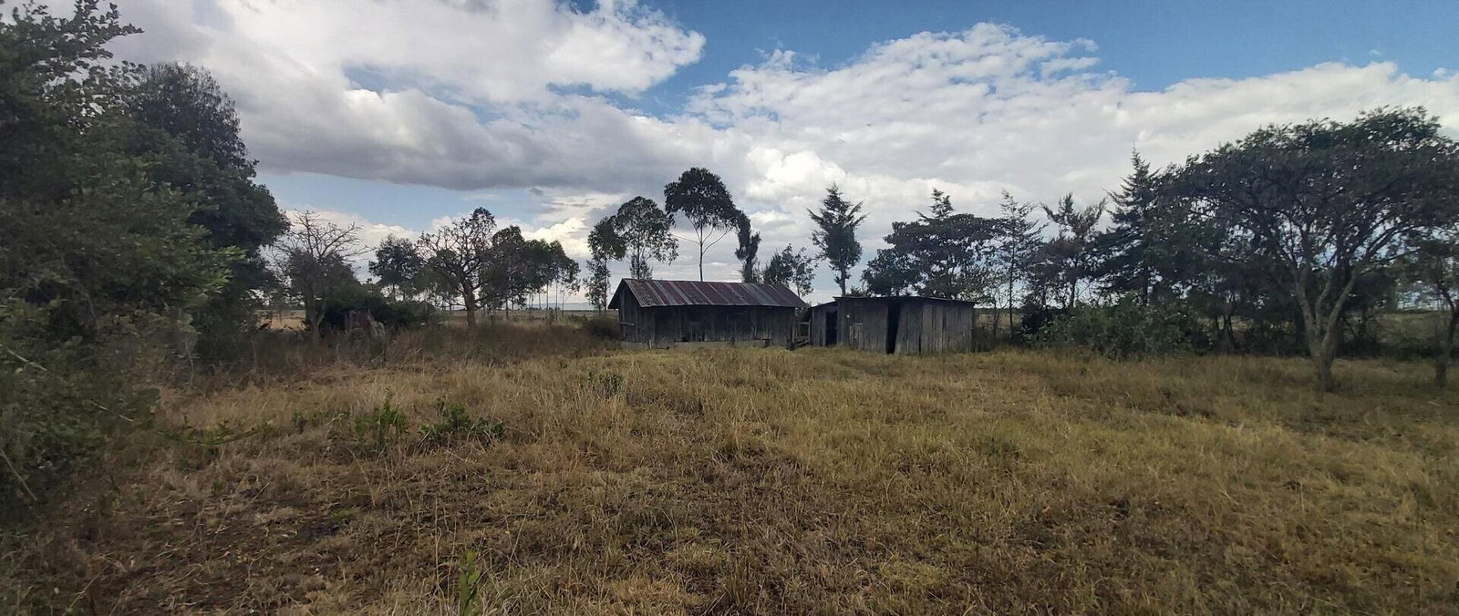 10-Acre Land with Mt Kenya Views - Nanyuki