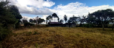 10-Acre Land with Mt Kenya Views - Nanyuki