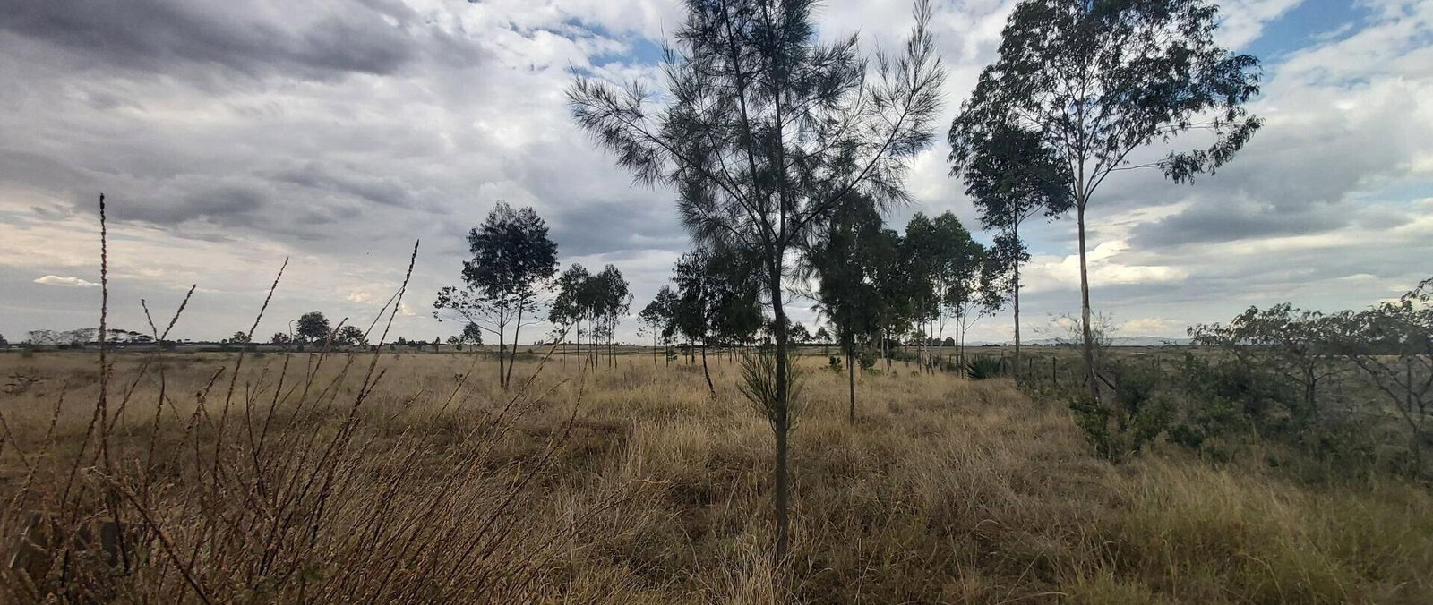 10-Acre Land with Mt Kenya Views - Nanyuki