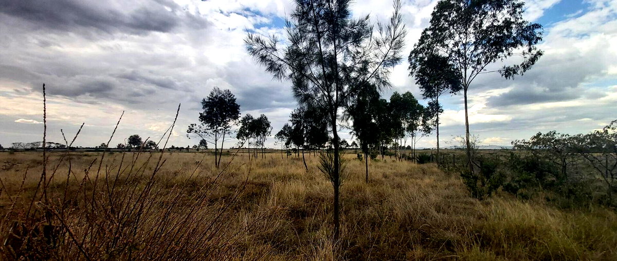 10-Acre Land with Mt Kenya Views - Nanyuki