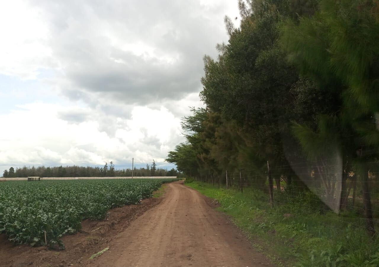 2.5-Acre Land at KSh 2.8M per Acre