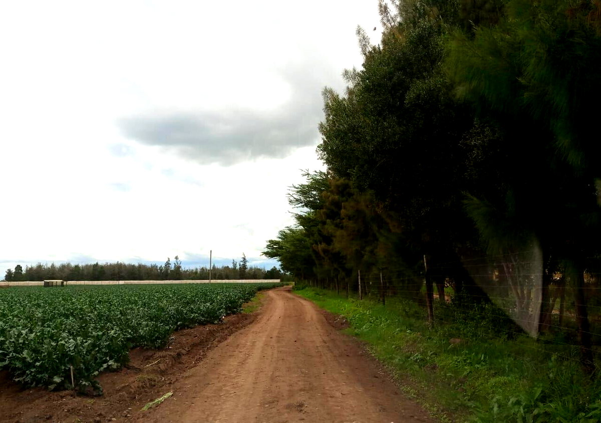 2.5-Acre Land at KSh 2.8M per Acre