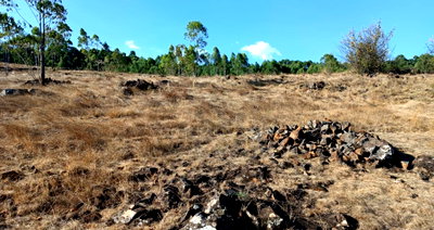 5-Acre Riverfront Land in Kapseret