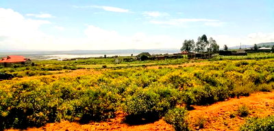 Plots for Sale in Kikopey Next to Pebbles Nature Hotel - Image 1