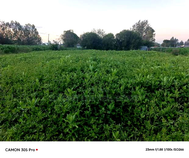 1/8 Plot Kimumu Better Farm.