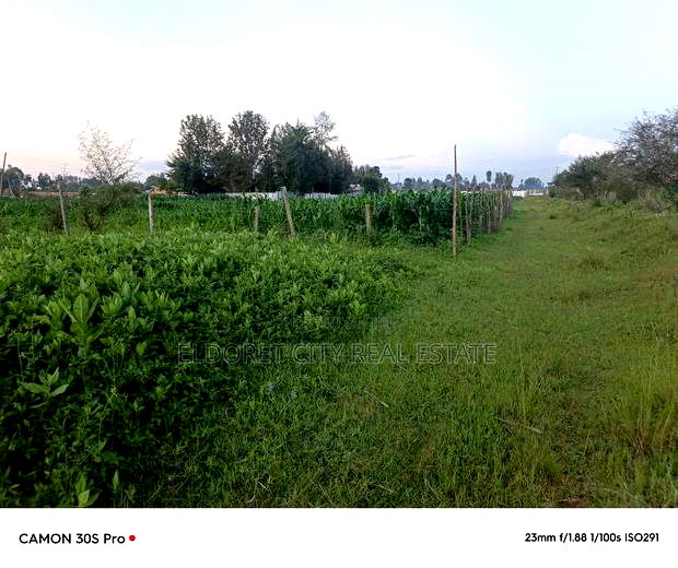 1/8 Plot Kimumu Better Farm.