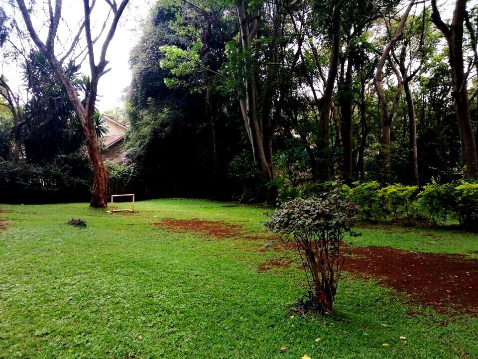 0.8 Acre Lavington Bungalow at KSh 260K