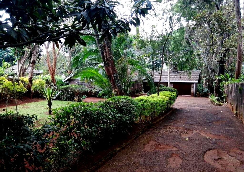 0.8 Acre Lavington Bungalow at KSh 260K