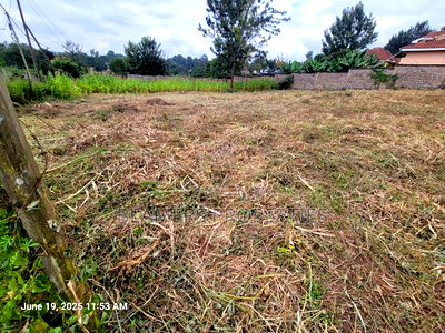 Thome 1/2 Acre for Sale in Thome - Image 4