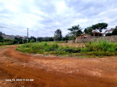Thome 1/2 Acre for Sale in Thome - Image 2