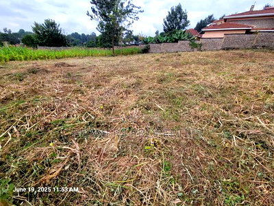 Thome 1/2 Acre for Sale in Thome - Image 3