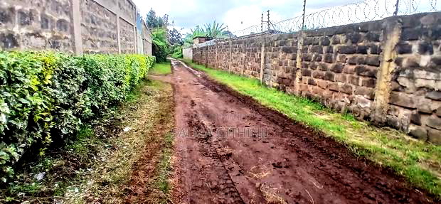 100 by 100ft Commercial Plot for Sale in Kikuyu ,Zambezi