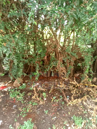 1.1acres Kilimani Near Yaya - Image 2