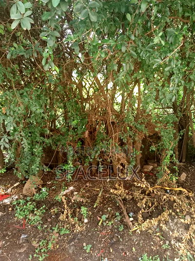 1.1acres Kilimani Near Yaya - Image 1